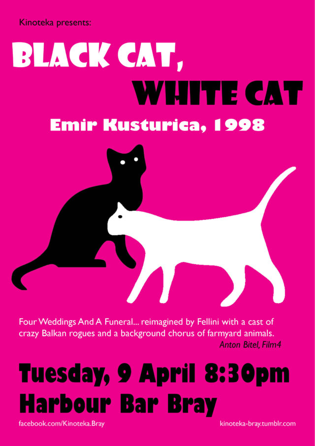 Kinoteka black cat white cat